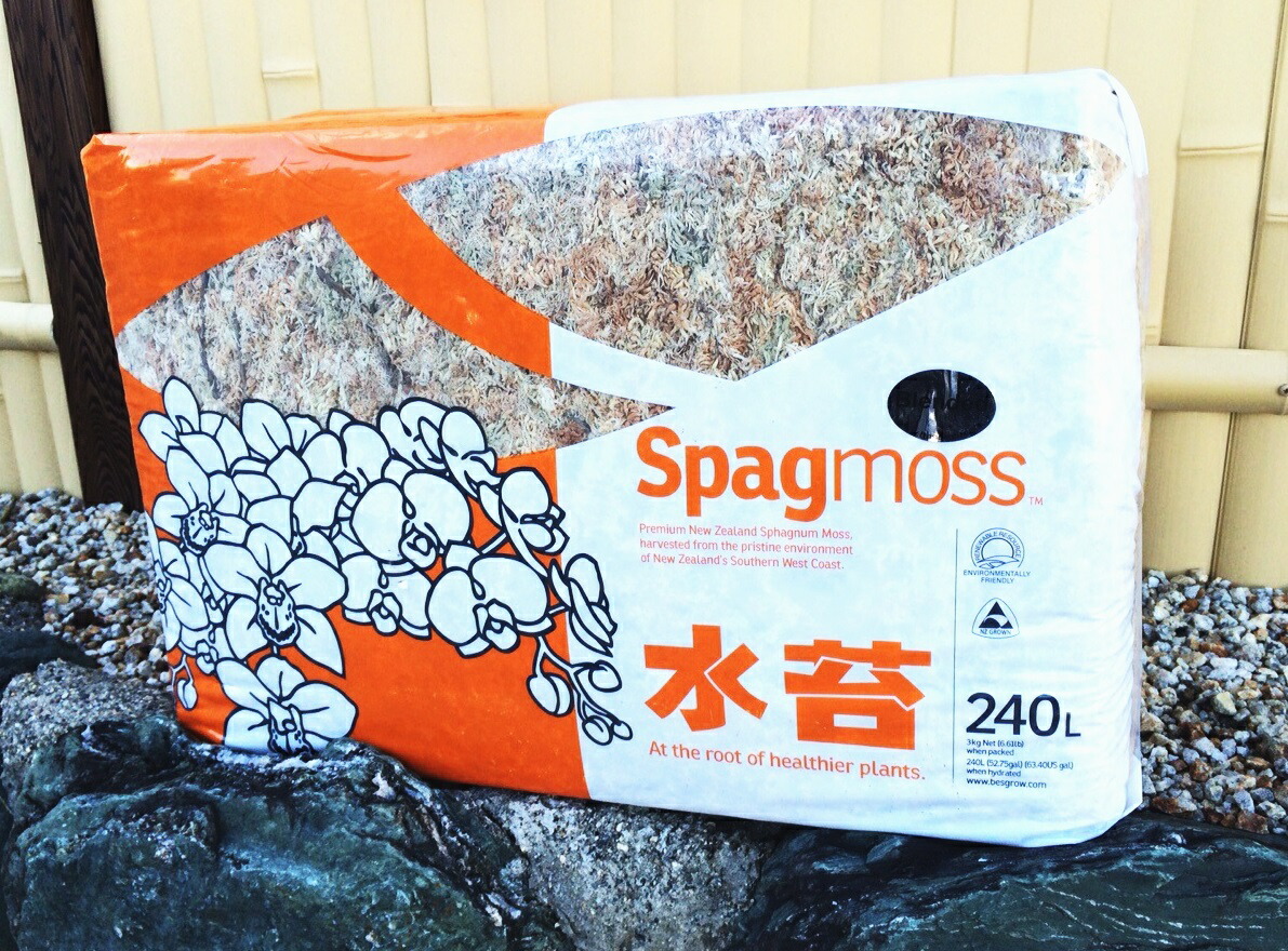 楽天市場】水苔ニュージーランド産Spagmoss約500g（スタンダード 