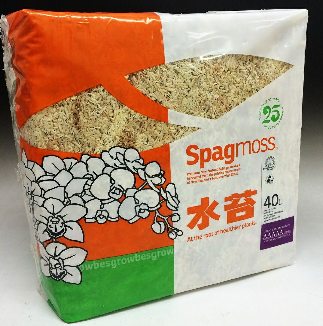 早割クーポン！ imgrc0078227335.jpg その他