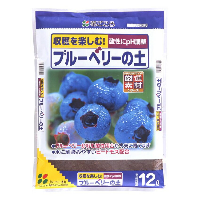 海外輸入 あかぎ園芸 ブルーベリーの肥料 500g 30袋 き 同梱 クド成分により光合成が活発 おいしい実が収穫できます 在庫一掃 Southerncollegeofhealthsciences Com