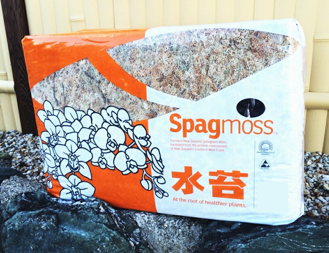 最高級 ニュージーランド産水苔 AAAAA 5A 150g : サイエンス