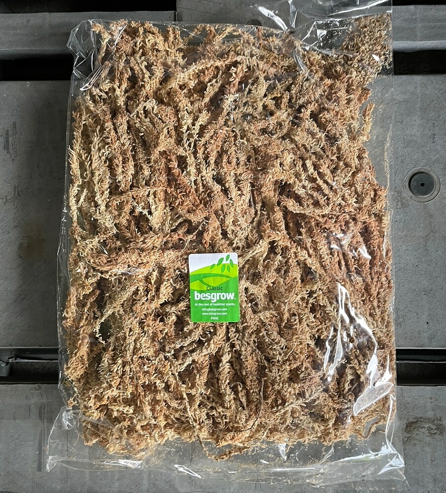 楽天市場】水苔ニュージーランド産Spagmoss約3kg（スタンダード