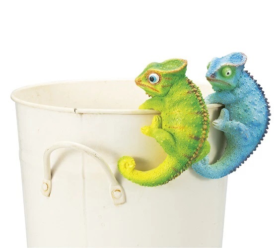 ひよこさん専用 NPF エクセル ひよこ 500g 鳥 餌 えさ フード | チャーム