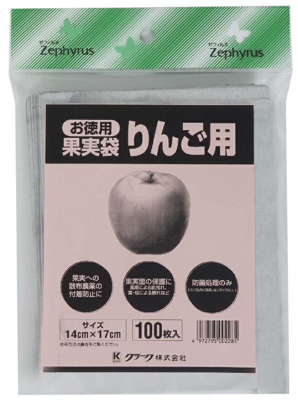 市場 果実袋 ぶどう用 100枚入り
