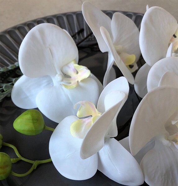 近年おっきい衆望の蘭 の頭小片 嫁入り 花飾り 和装 アダルトウエディング 髪飾り 蝶々蘭オフ白さ P 当店独創的図案のヘッドフロック ヘッドピース ウエディングドレス 二次式典ドレス 宴会ドレスに至適 Damienrice Com
