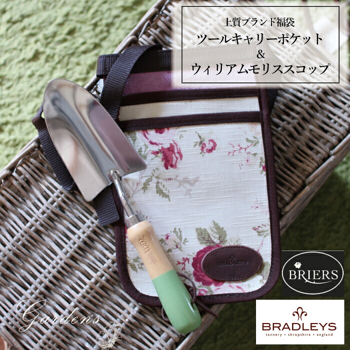 新入荷苗案内書！！