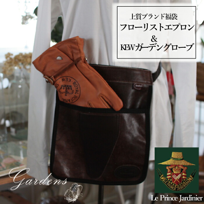 新入荷苗案内書！！