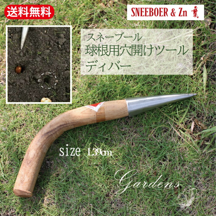 新入荷苗案内書！！