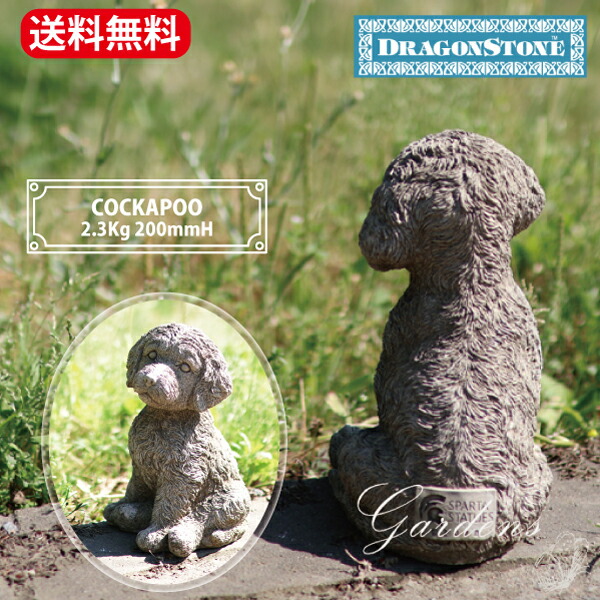 新入荷苗知らせ！！