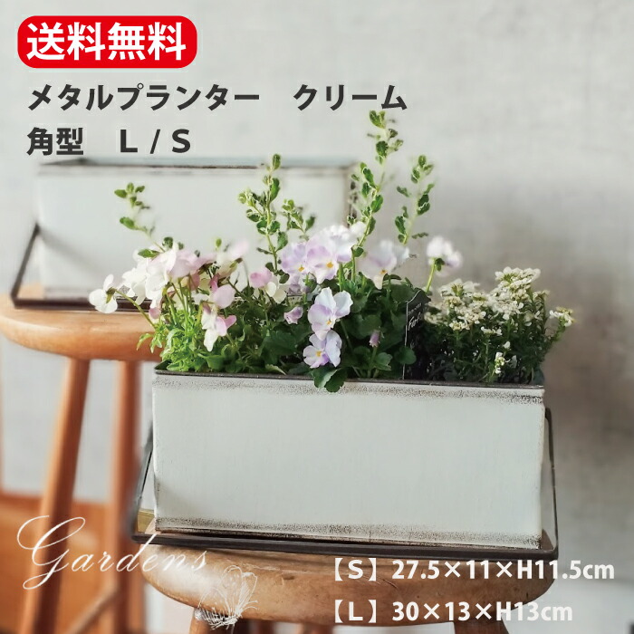 楽天市場】【マラソン限定☆エントリーでMAXP10倍＆10％OFF