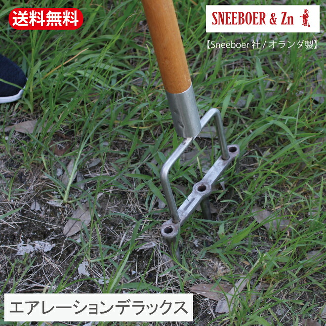 新入荷苗知らせ！！