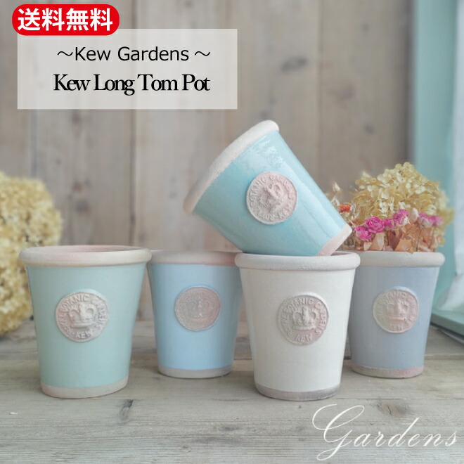 新入荷苗音沙汰！！