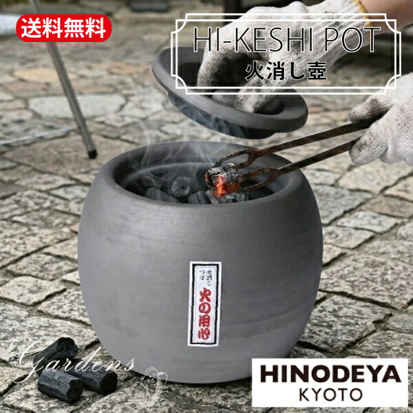 新入荷苗音沙汰！！