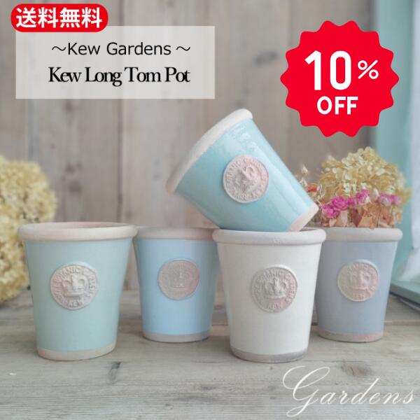 新入荷苗案内書！！
