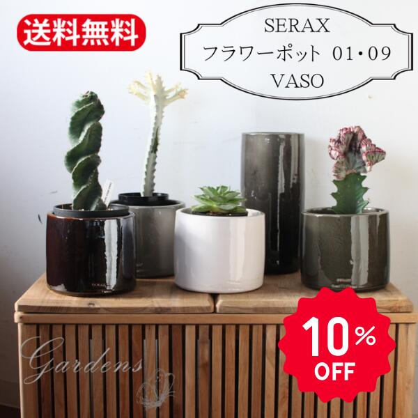 新入荷苗案内書！！