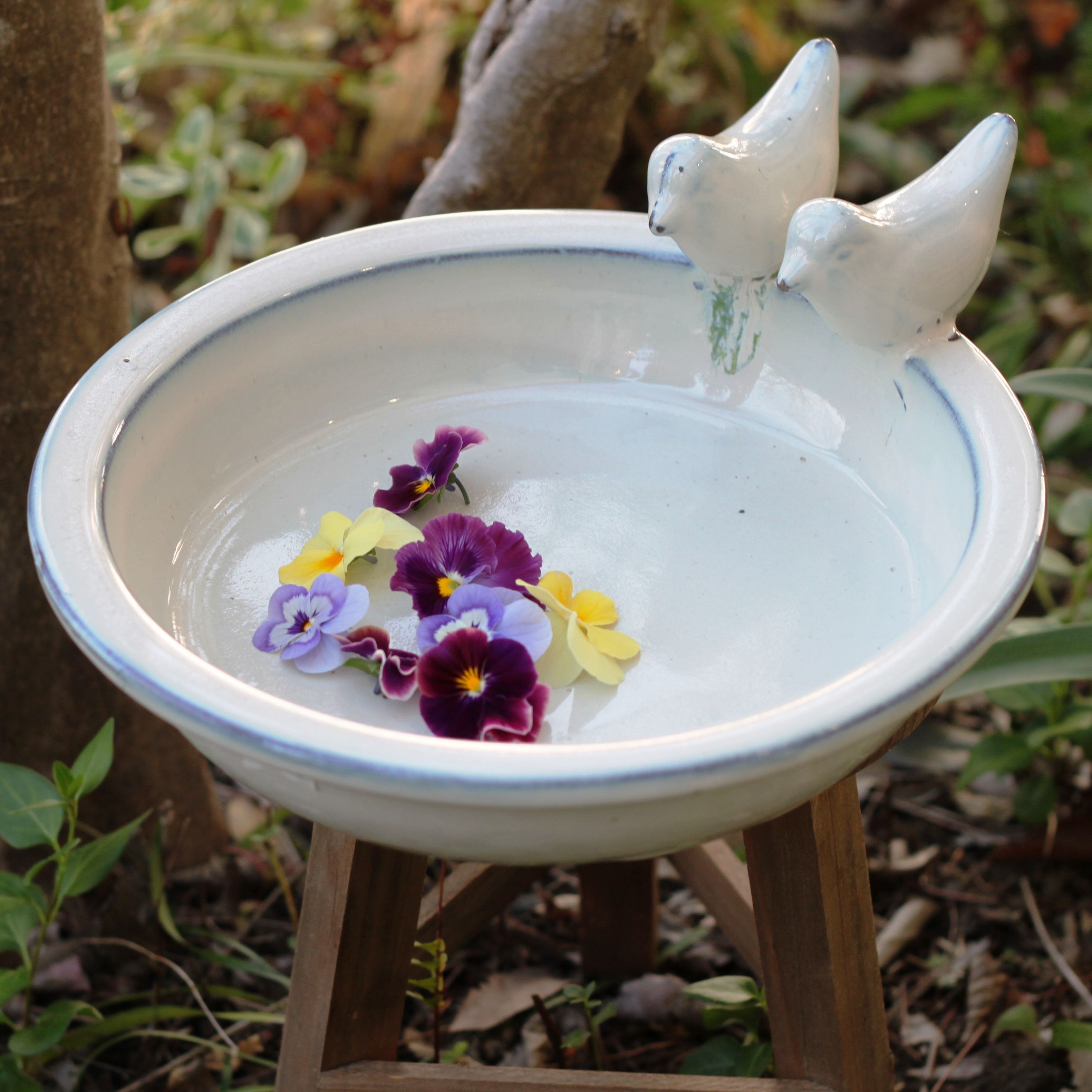 バードバス ガーデニング 陶器 エッシャーデザイン 野鳥観察 小鳥