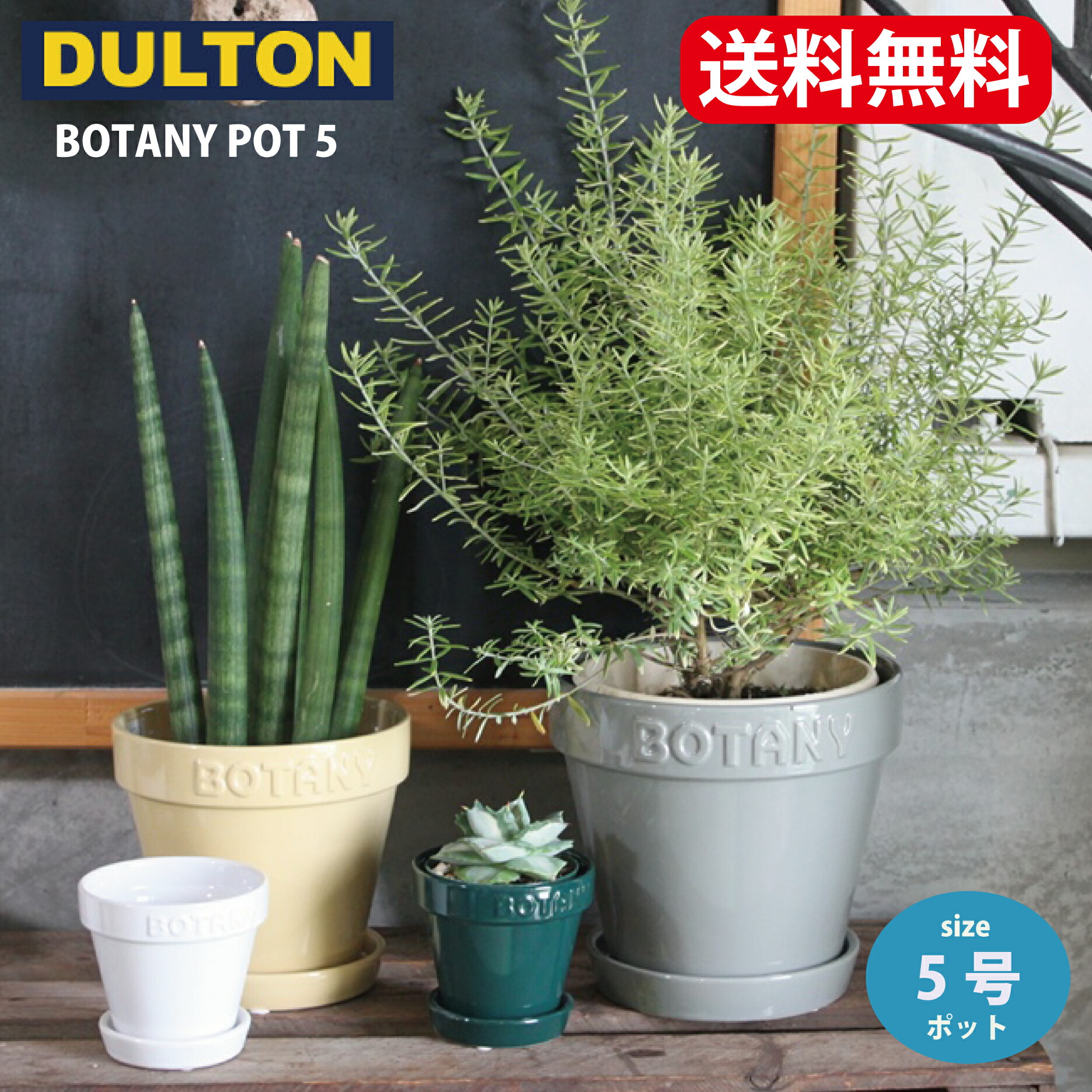 【楽天市場】「 ダルトン BOTANY POT ３ 」 ３号鉢目安 BOTANY