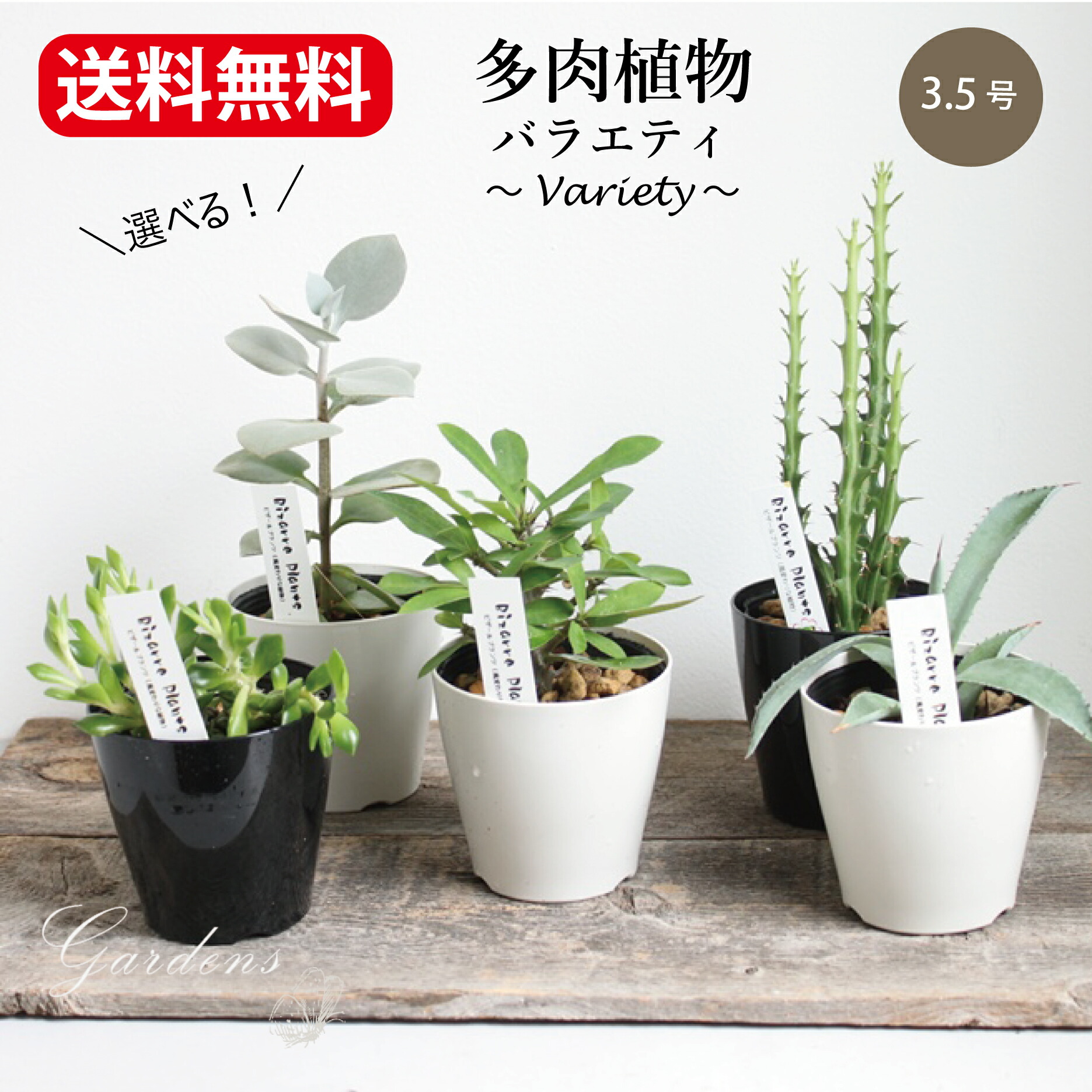 楽天市場】【1日限定MAX50%OFFクーポン&店内買い回りでMAXP20 楽天市場】【1日限定MAX50%OFFクーポン&店内買い回りでMAXP20
