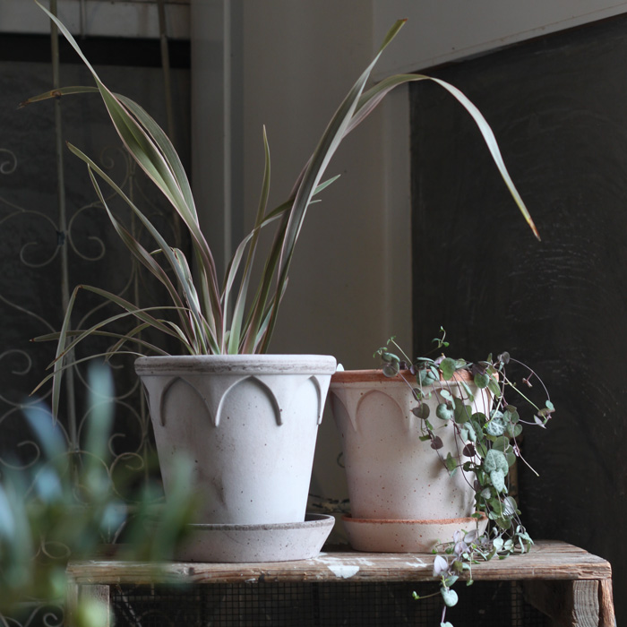 バーグスポッター エリザベス 14 / 16 / 18 グレー ナチュラル 皿付き