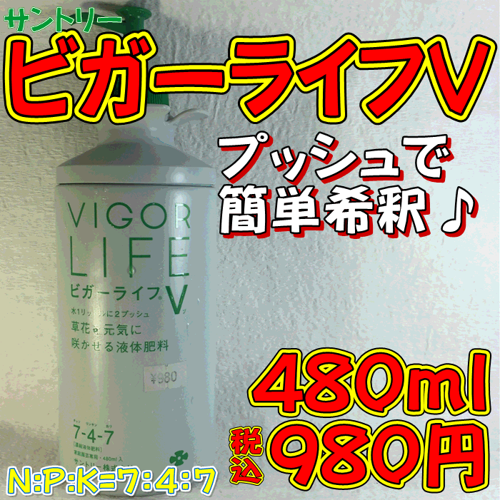 楽天市場 ビガーライフｖ 480ｍｌ サントリー 液体肥料 ガーデンショップ花物語