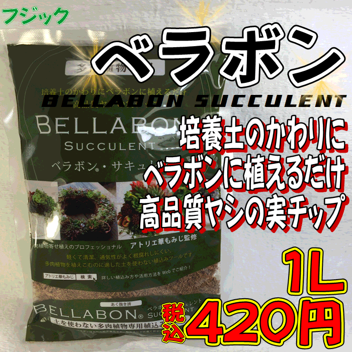 楽天市場 ベラボン サキュレント １ｌ 軽量 多肉植物 ヤシの実チップ ガーデンショップ花物語