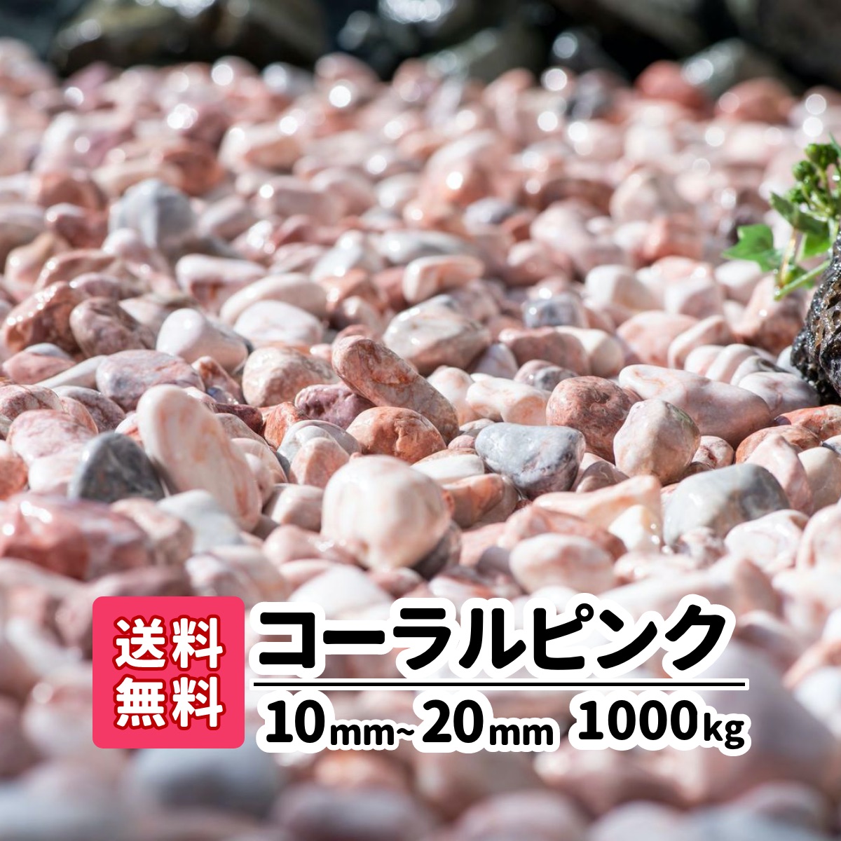 コーラルサクラ色 かざり付けるさざれ石 マーブル 1000kg(20kg×50) 10粍～20粍 雑草打つ手 さざれ石 庭石 素粒子 たわい無い かっこ良い 愛くるしげ 好いたらしい 御役目用 diy 玉石 白 サクラ色 庭 取りかかる ガーデニング 園芸 洋風 花やしき メダカ 熱帯魚 海洋博物館 総やか エクステリア 外構 園地 1t 1英トン 【貨物輸送無料】 石材-花・ガーデン・DIY-木材・建築資材・設備