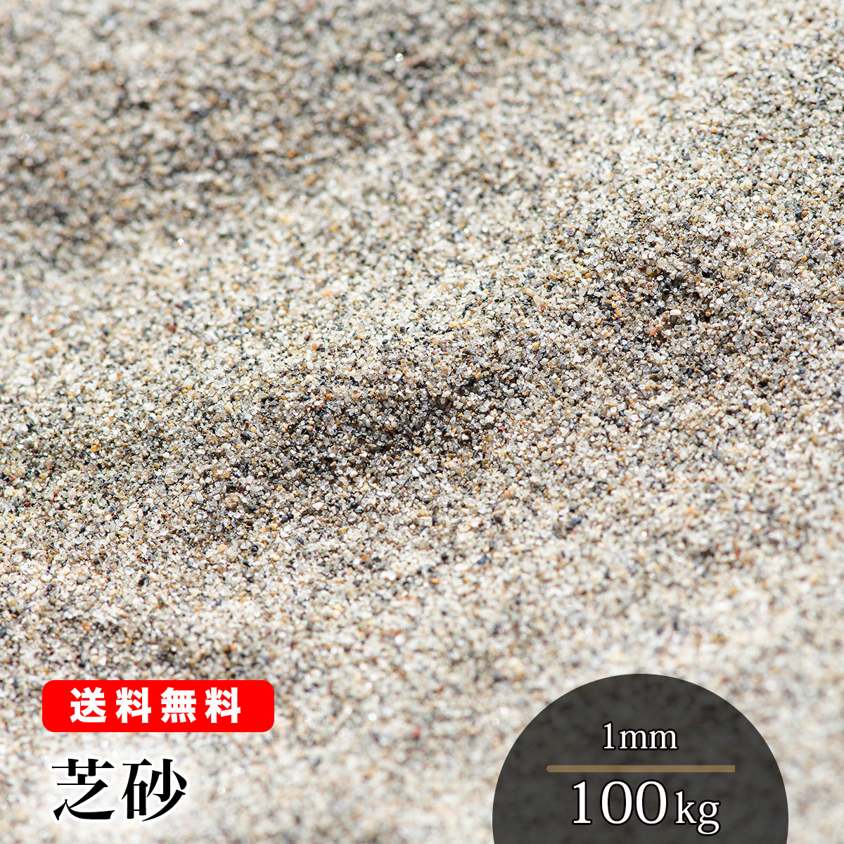 芝砂【送料無料】芝生用 目砂 100kg(20kg袋×5) 1mm 砂 乾燥砂 芝生育成 養生 芝生の砂 芝 透水性 水はけ 充填 補修 ガーデニング 山砂 シルバーグレー 園芸 造園 ゴルフ バンカー 砂あそび さらさら 静岡県産 国産 天然 グリーン 人工芝