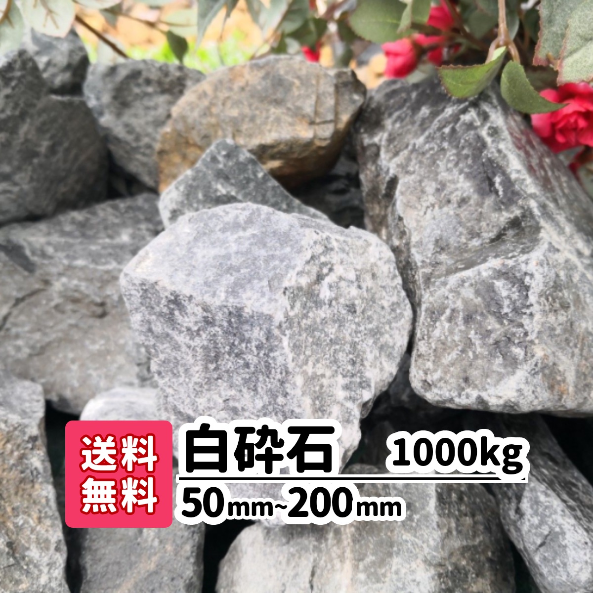 楽天市場 送料無料 300kg 白砕石 50mm 0mm ロックガーデン 庭 アプローチ おしゃれ ガーデニング アクアリウム 大きい石 駐車場 洋風 メダカ 熱帯魚 水槽レイアウト 白い石 砂利 ホワイト リフォーム 造園 庭園 園芸 花壇 レイアウト 割栗石 ガーデンステージ