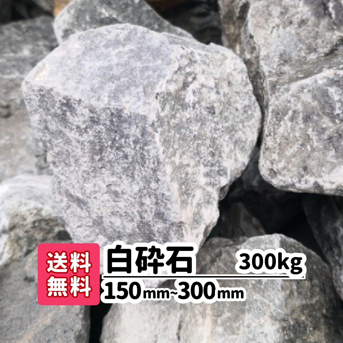 楽天市場 送料無料 0kg 白砕石 150mm 300mm ロックガーデン 庭 アプローチ おしゃれ ガーデニング アクアリウム 大きい石 駐車場 洋風 メダカ 熱帯魚 水槽 白い石 砂利 ホワイト リフォーム 造園 庭園 園芸 花壇 レイアウト 割栗石 ガーデンステージ