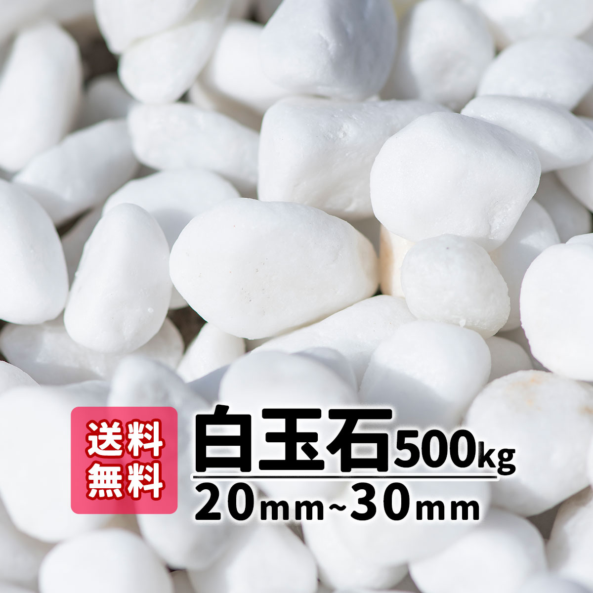 shirotama20_30_500.jpg