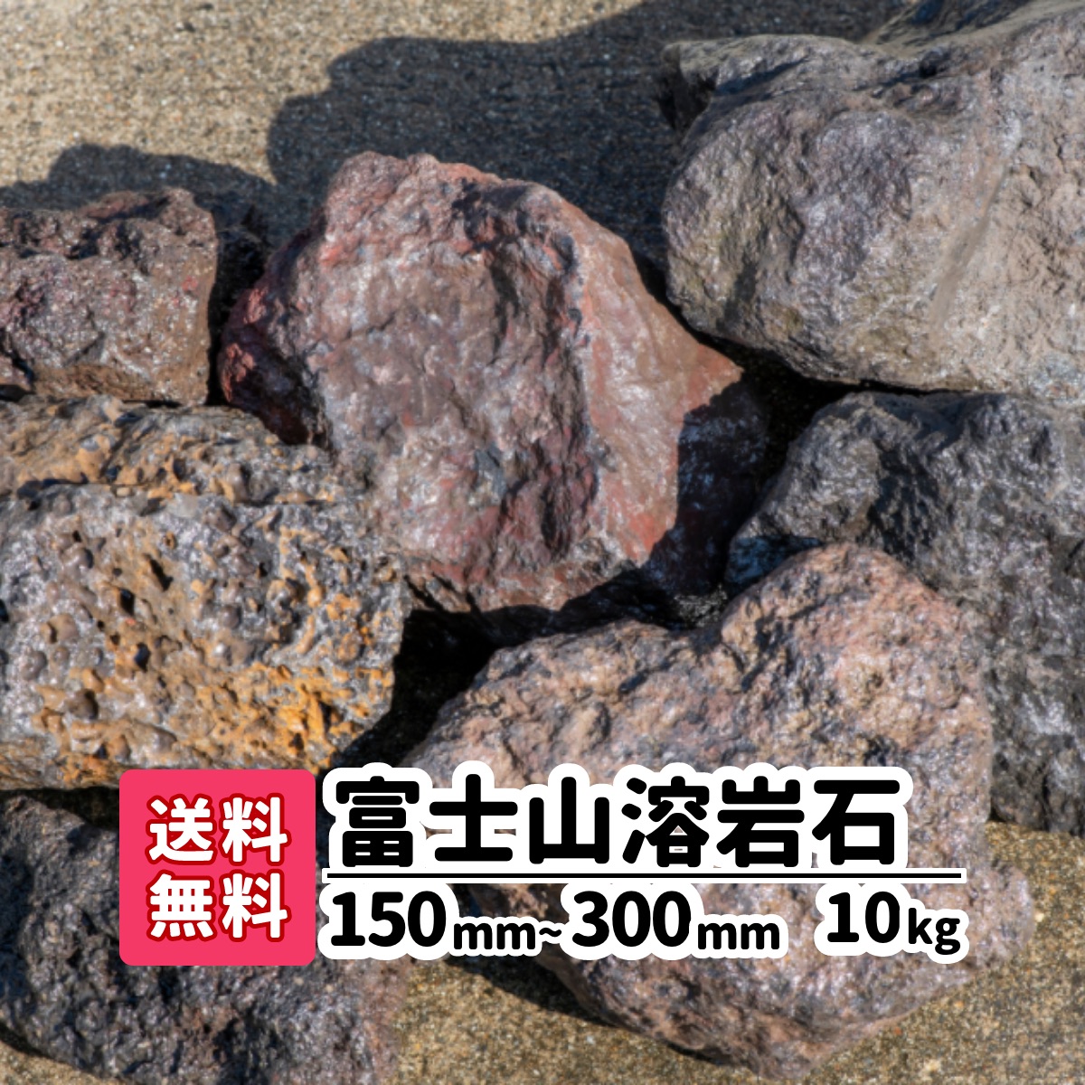 楽天市場 送料無料 10kg 富士山溶岩石 150mm 250mm ロックガーデン 庭 アプローチ おしゃれ ガーデニング アクアリウム 溶岩石 メダカ 熱帯魚 水槽レイアウト 駐車場 花壇 低床 庭石 ガーデンステージ