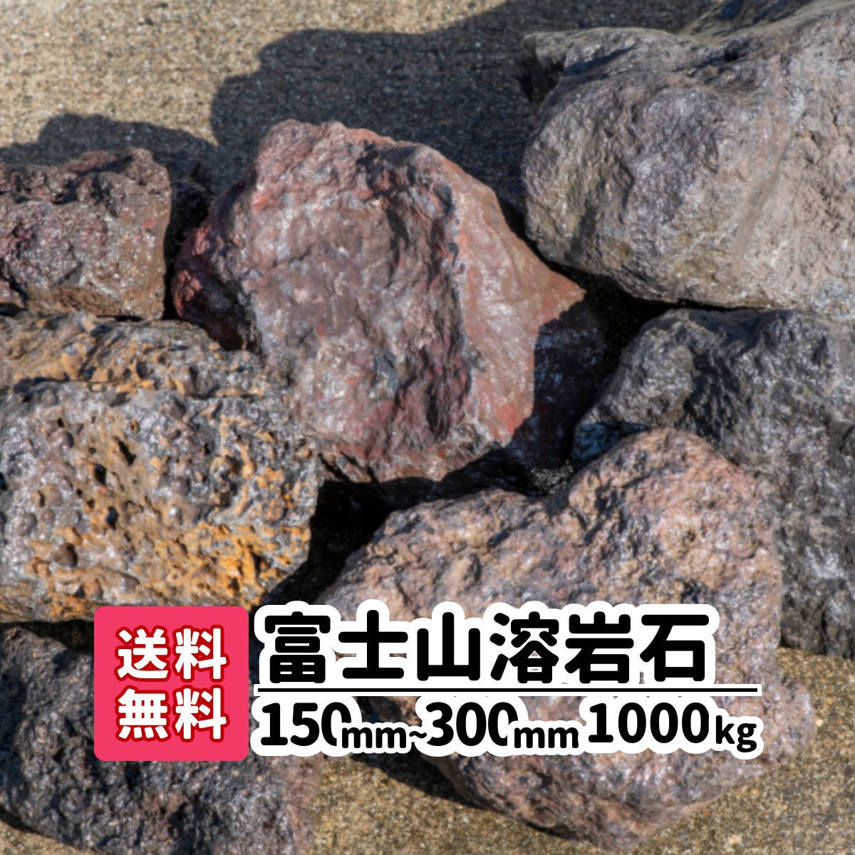 楽天市場 送料無料 60kg 富士山溶岩石 150mm 250mm kg 3 ロックガーデン 庭 アプローチ おしゃれ ガーデニング アクアリウム 溶岩石 メダカ 熱帯魚 水槽レイアウト 駐車場 花壇 低床 庭石 ガーデンステージ