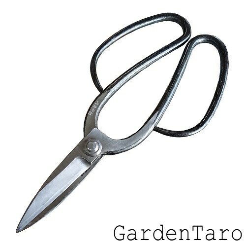 楽天市場】越後花吹雪 津島型1号 白紙鋼【剪定鋏】【植木鋏】【鋏】U