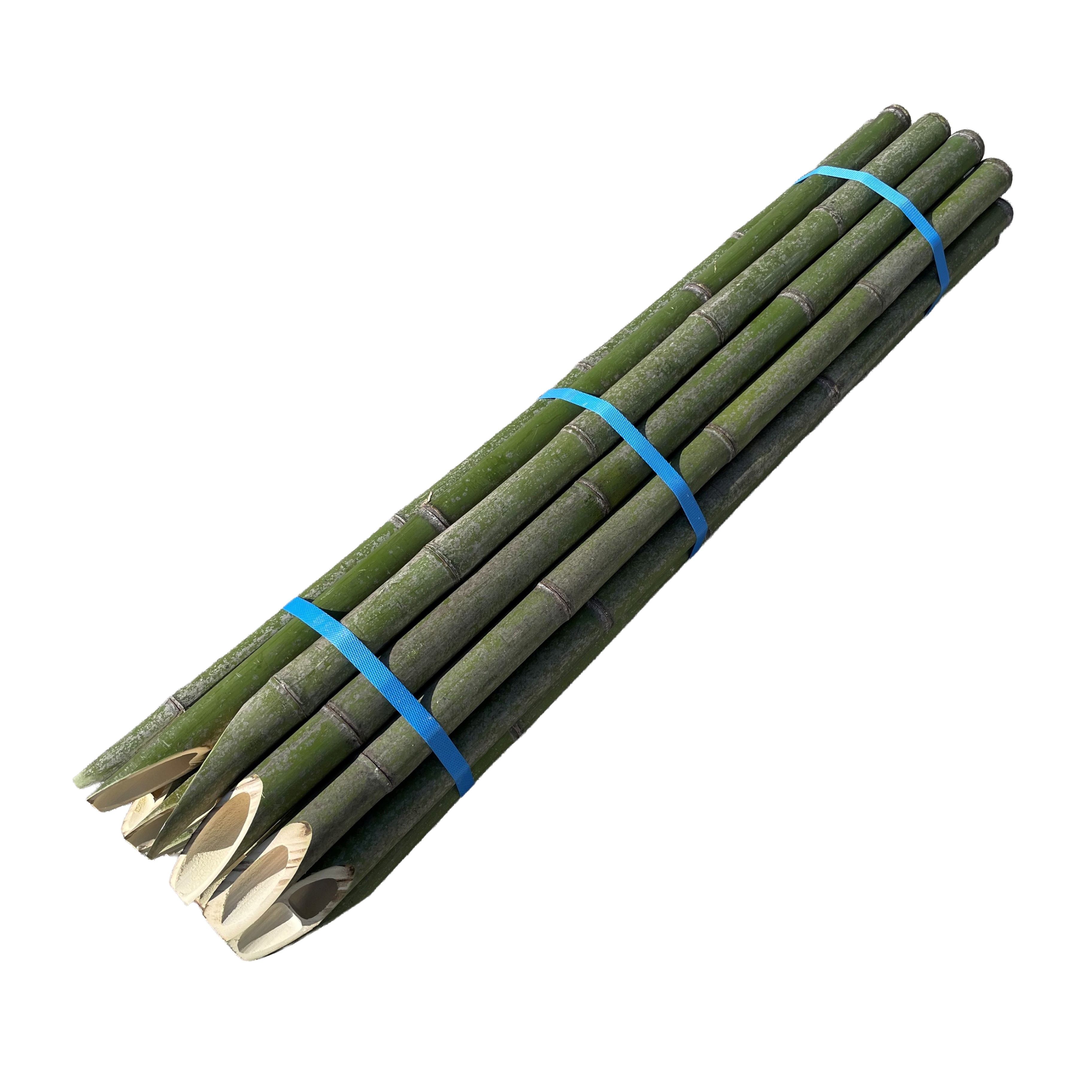 切竹 真竹 先工業 先とぎ L1800粍～L900mm×Φ30粍～20粍内外 【切り竹】【青竹】【3寸】【返品不可】