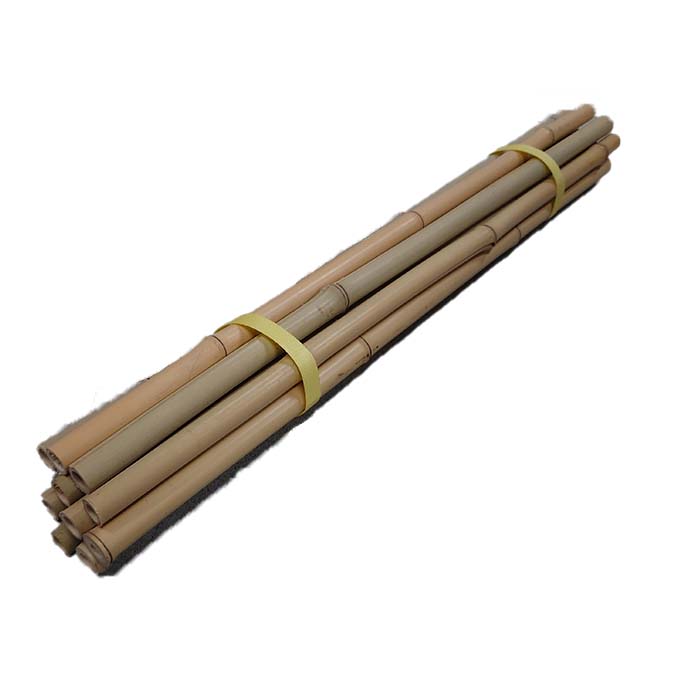 楽天市場】晒竹 10本セット（5-6分 28-30cm）【さらし竹】【白竹