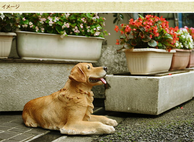 ゴールデンレトリバー 犬 本物そっくり エクステリア ガーデンファニチャー カフェ レトリバー こだわりの犬オブジェ 本物そっくりの毛並み のんびり リアルアニマル オブジェ オーナメント花 ガーデン Diy ドッグ 置物 わんちゃん ふさふさの質感 こだわり 毛並み Dog