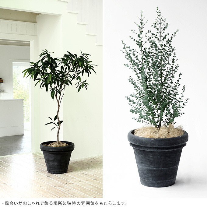 プラスチック ボルドー おしゃれ 直径50cm 鉢 ブロック 植木鉢 軽量 プランター ベンチ プラ鉢 ウッドデッキ 軽い 底穴あり 大きめ 大型 丈夫 ガーデン用品屋さん見事な質感 軽くて丈夫使いやすい 大型鉢 プラスチック ボルドー おしゃれ 直径50cm 鉢 ブロック 植木鉢 軽量 プランター ベンチ プラ鉢 ウッドデッキ 軽い 底穴あり 大きめ 大型 丈夫 ガーデン用品屋さん見事な質感 軽くて丈夫使いやすい 大型鉢