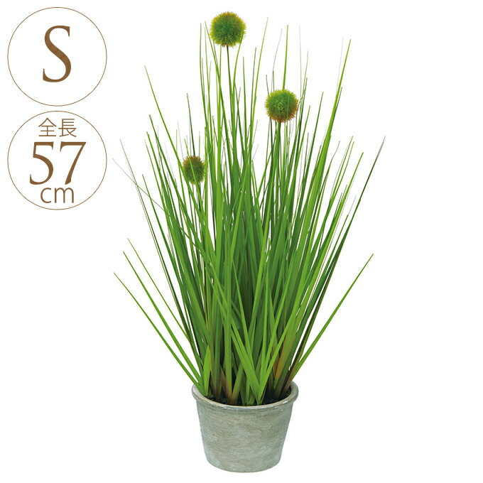 楽天市場】【取寄品】 フェイクグリーン 光触媒 ポンポングラス 120cm