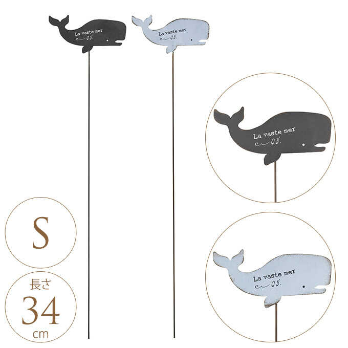 市場 フラワーピック クジラのピック 絵本の世界 海のシリーズ マッコウクジラ かわいい