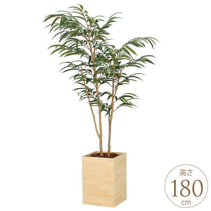 光触媒観葉植物 ウッドボックスライトトネリコ1.0 〔フロアタイプ