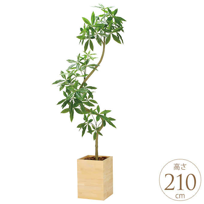 フェイクグリーン 鉢植え 大型 ウッドボックス パキラ 2.1m 3分割組立 人工 観葉植物 リアル 光触媒 インテリア グリーン おしゃれ 飾り リビング オフィス 業務用 オフィス 事務所 玄関 待合室 【送料無料】｜Nester（ネスター）