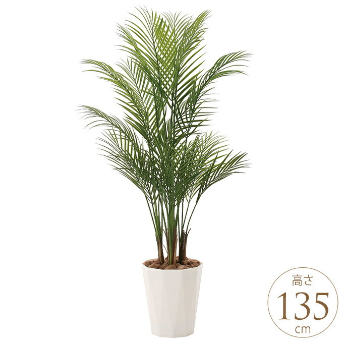 楽天市場】観葉植物 光触媒 植物 アレカパーム グリーン 人工観葉植物