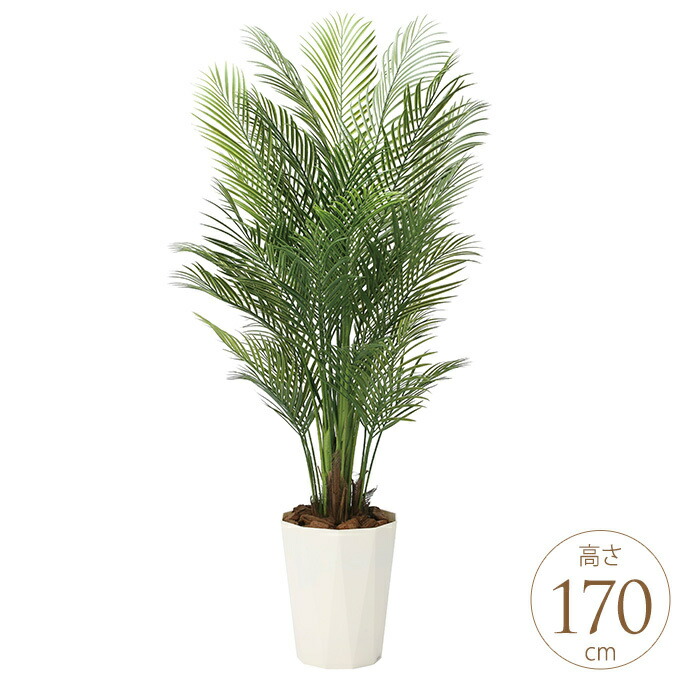 楽天市場】観葉植物 光触媒 植物 アレカパーム グリーン 人工観葉植物