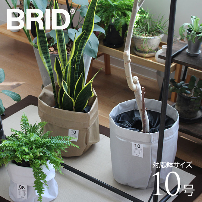 楽天市場】ブリッド 鉢カバー プランターカバー 8号/10号 植木鉢 観葉
