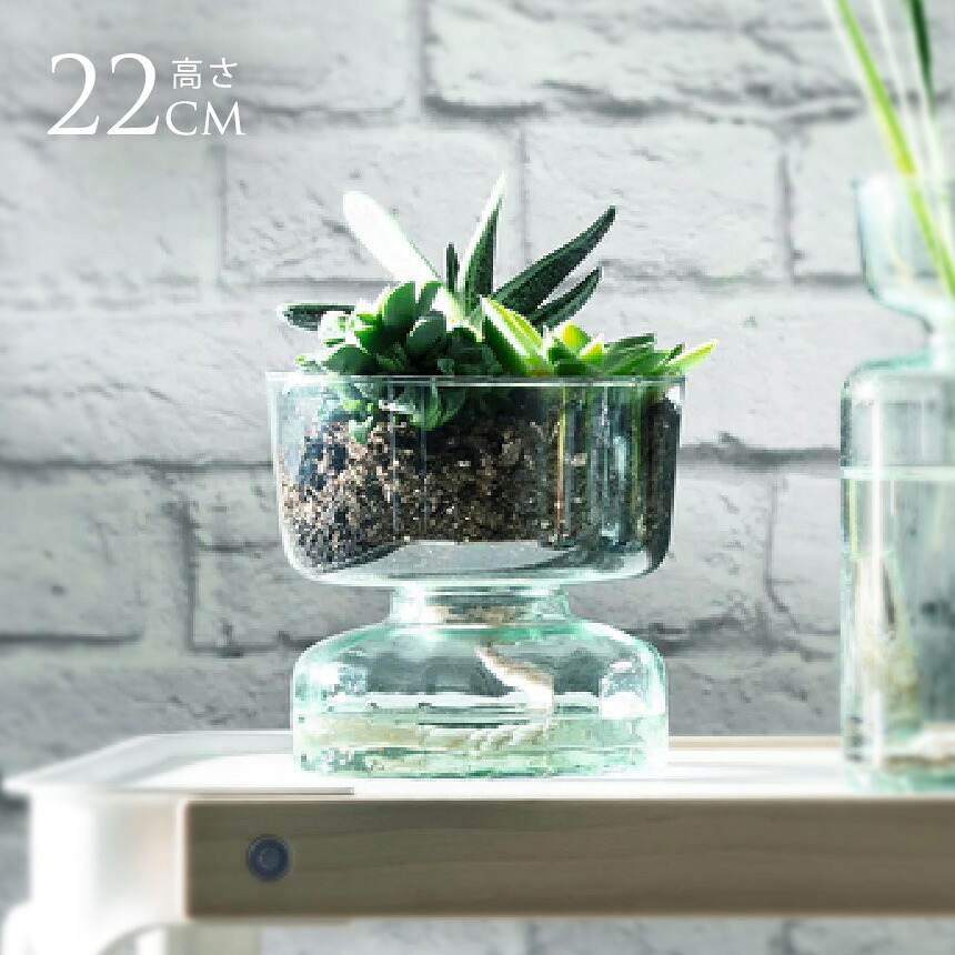 LSA International フラワーベース Canopy キャノピー Self Water Planter H13cm 透明 ガラス おしゃれ ガラスベース 北欧 北欧インテリア フラワーアレンジメント シンプル ハイドロカルチャー 【送料無料】|Nester(ネスター)