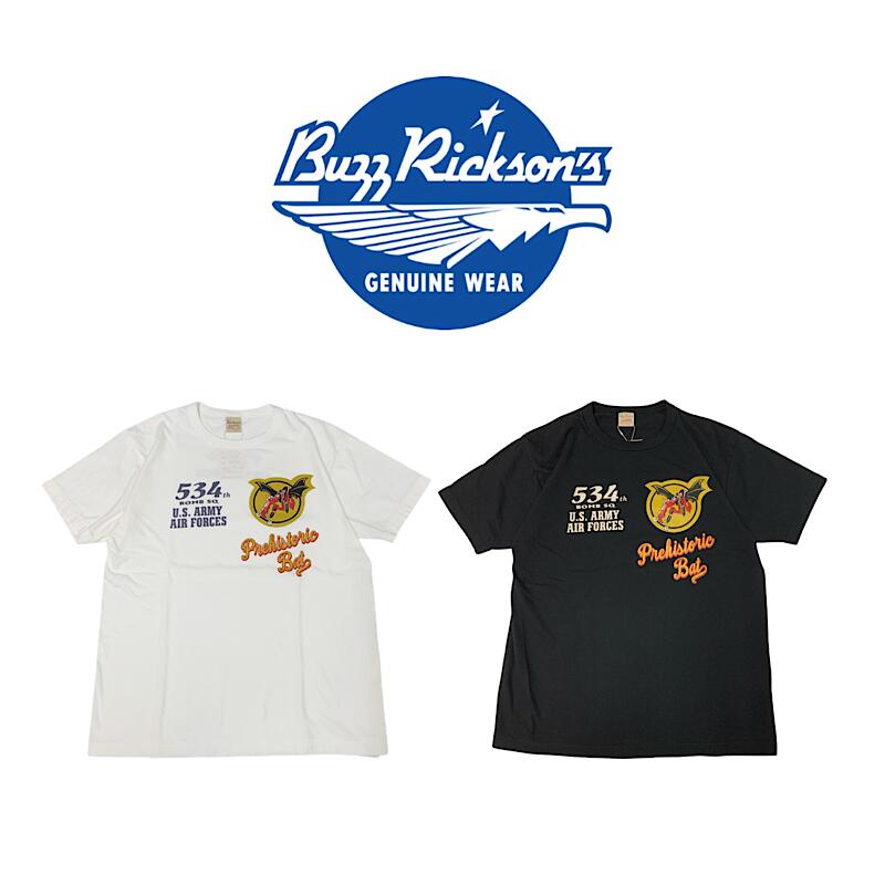 【 BUZZ RICKSON\u0027S / BR79753 】 【 バズリクソンズ / GOVERNMENT S/S TEE - 534th BOMB SQ. 】 メンズ プルオーバー トップス 白いこと 黒いこと 半袖 アメカジ レトロ
