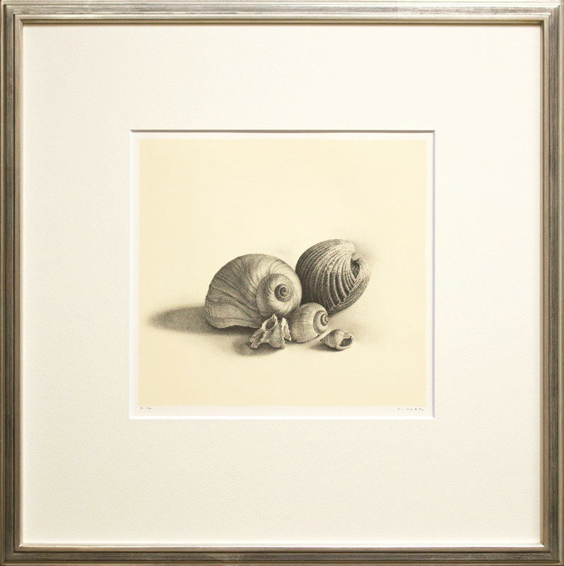 楽天市場】野田弘志 「 牡丹 」 ー 版画集 眼の記憶より ー 銅版画