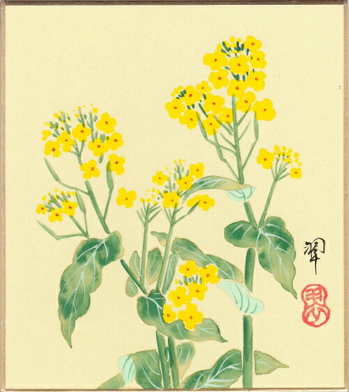 楽天市場 仲川 翆 菜の花 ミニ色紙絵 寸松庵 内田画廊