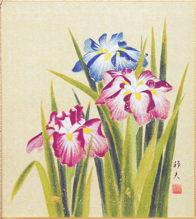 楽天市場】飯島香仙 菖蒲 日本画 肉筆 絵画 色紙 : 古都-京都 掛け軸