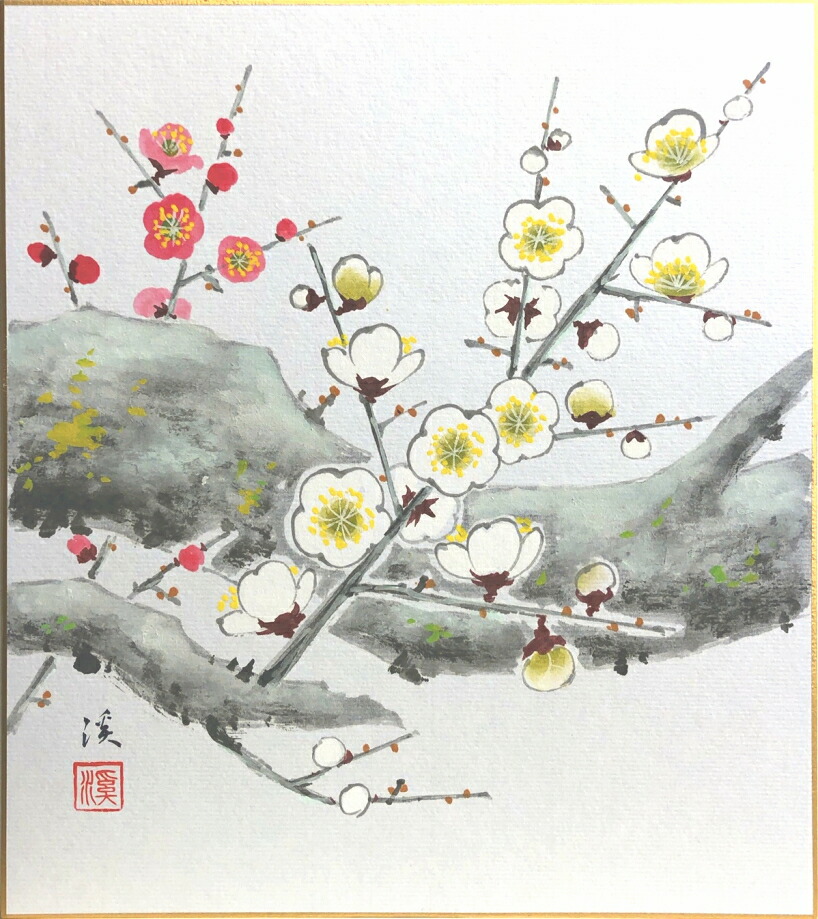 楽天市場】片山邦夫『紅白梅』色紙絵 : 内田画廊