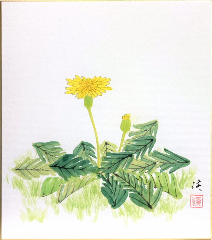 色絵 蒲公英文様 楽天市場】中谷文魚 「 蒲公英 ( たんぽぽ ) 」 色紙絵 : 内田画廊